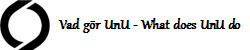 Vad g�r UnU - What does UnU do